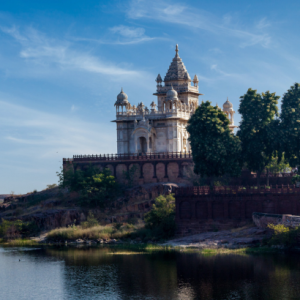 Untitled design (11)